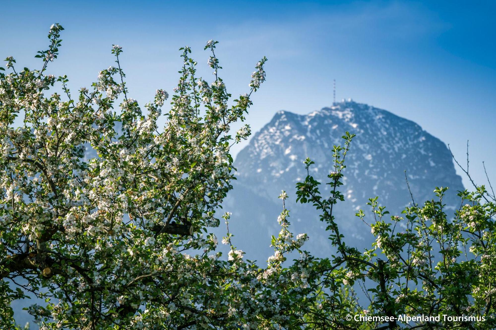 Land Wirtschaft Hoess Bad Feilnbach Esterno foto